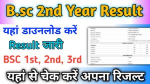 B.sc 2nd Year Result 2024