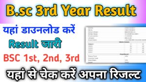 B.sc 3rd Year Result 2024 (बीएससी तृतीय वर्ष का परिणाम) यहां चेक करें Bsc 1st, 2nd, 3rd year result जारी-